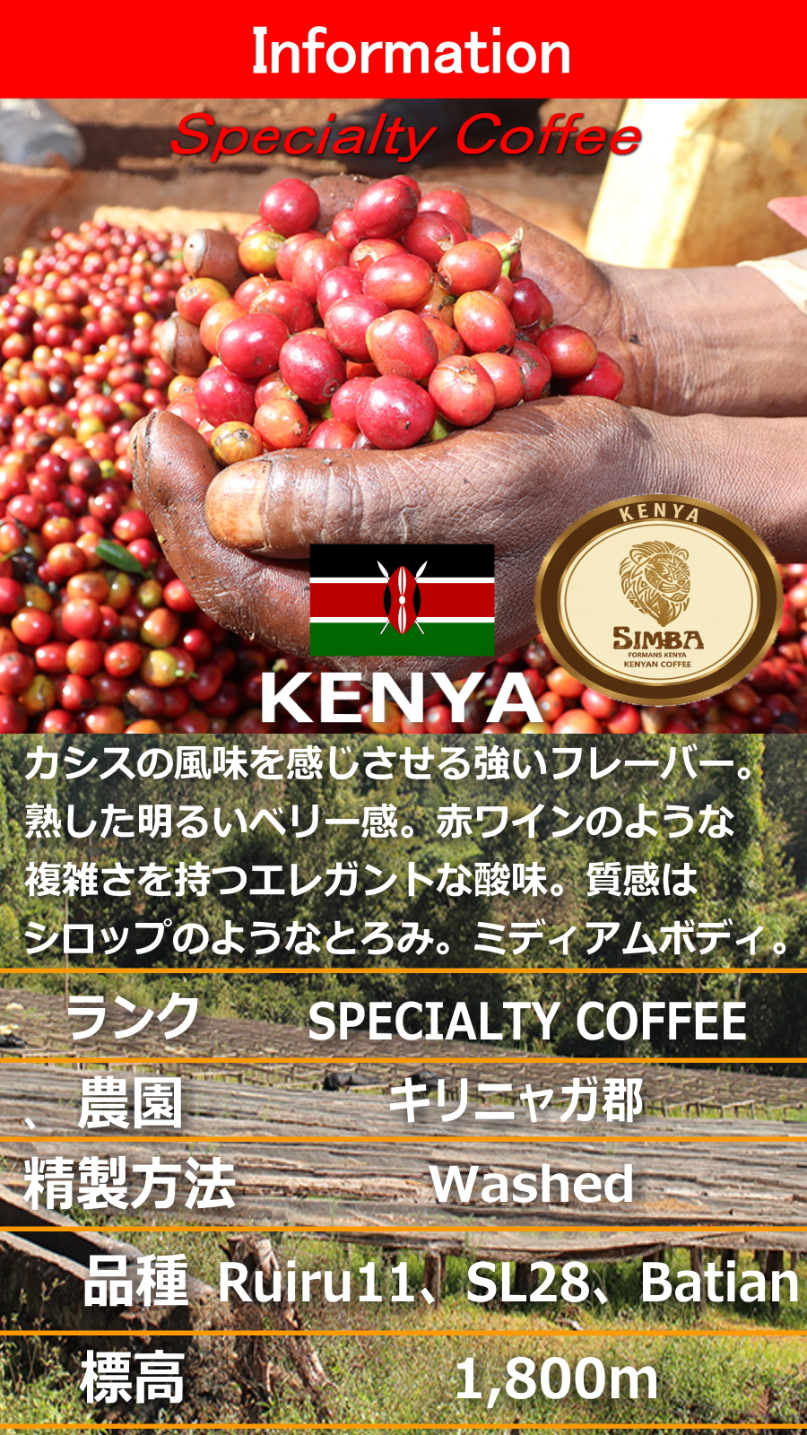 �P�j�A�V���o�É�����X�V�N�R�[�q�[���ʔ́@�����������������ɏ�X�y�V�����e�B������X�@���������É��g�N�i�K