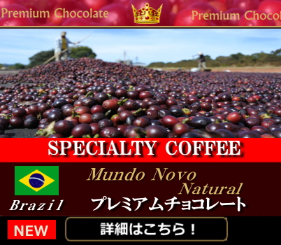 静岡コーヒー自家焙煎珈琲豆専門店製法老舗トクナガ　樹上完熟一番積みチョコレートスペシャルティこだわり極上自家焙煎コーヒー王子